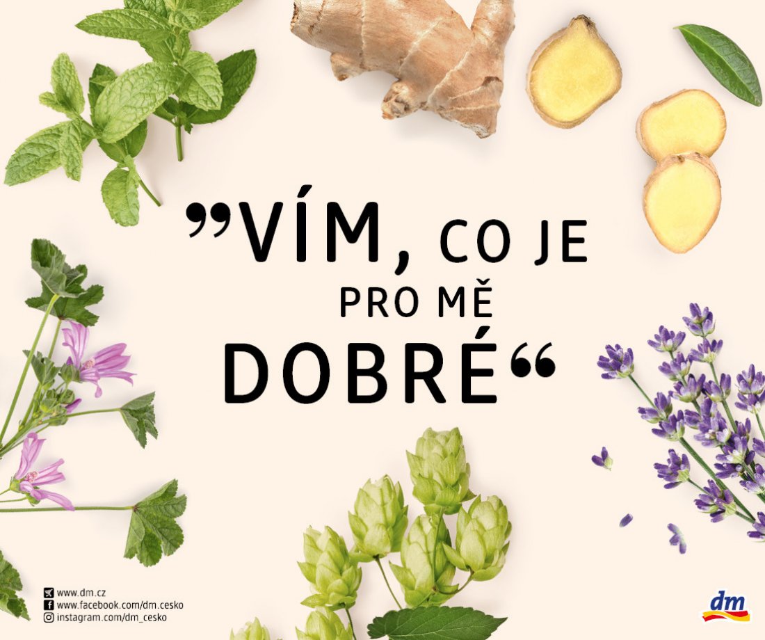 Tajemství bylin v dm drogerii