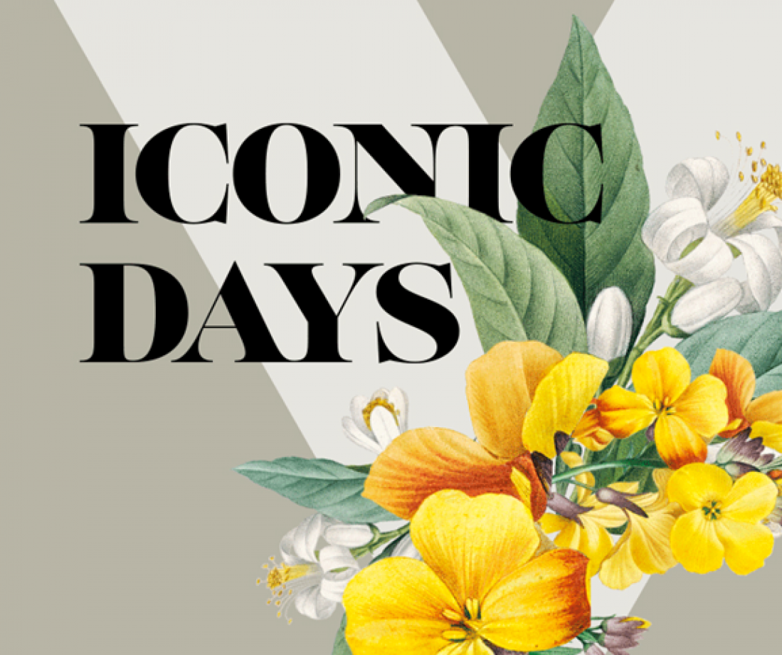 Ikonické kousky za poloviční ceny