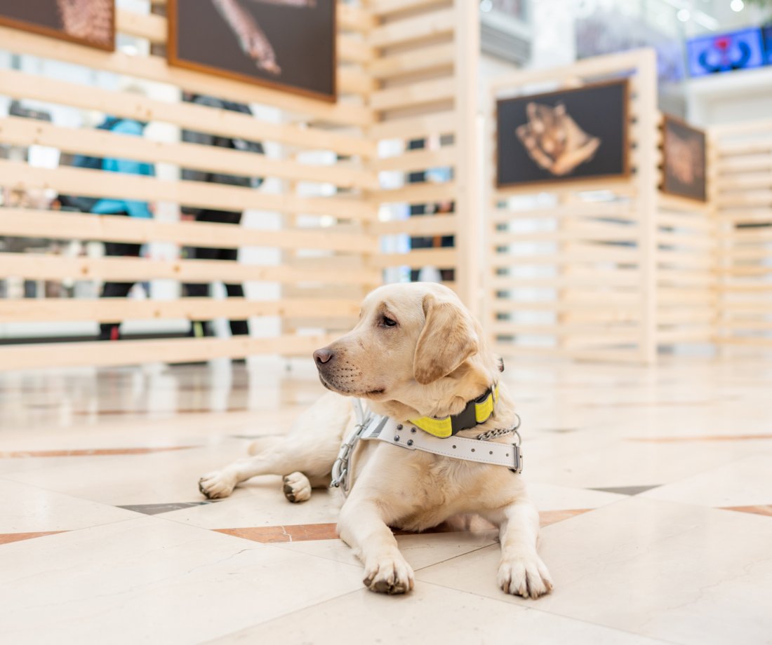 Podpořte s námi dobrou věc