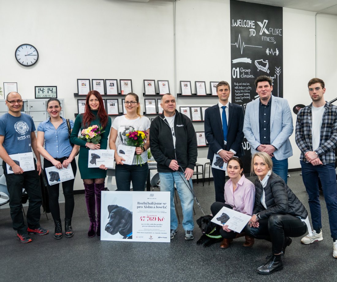 47 769 Kč na výcvik vodicího psa