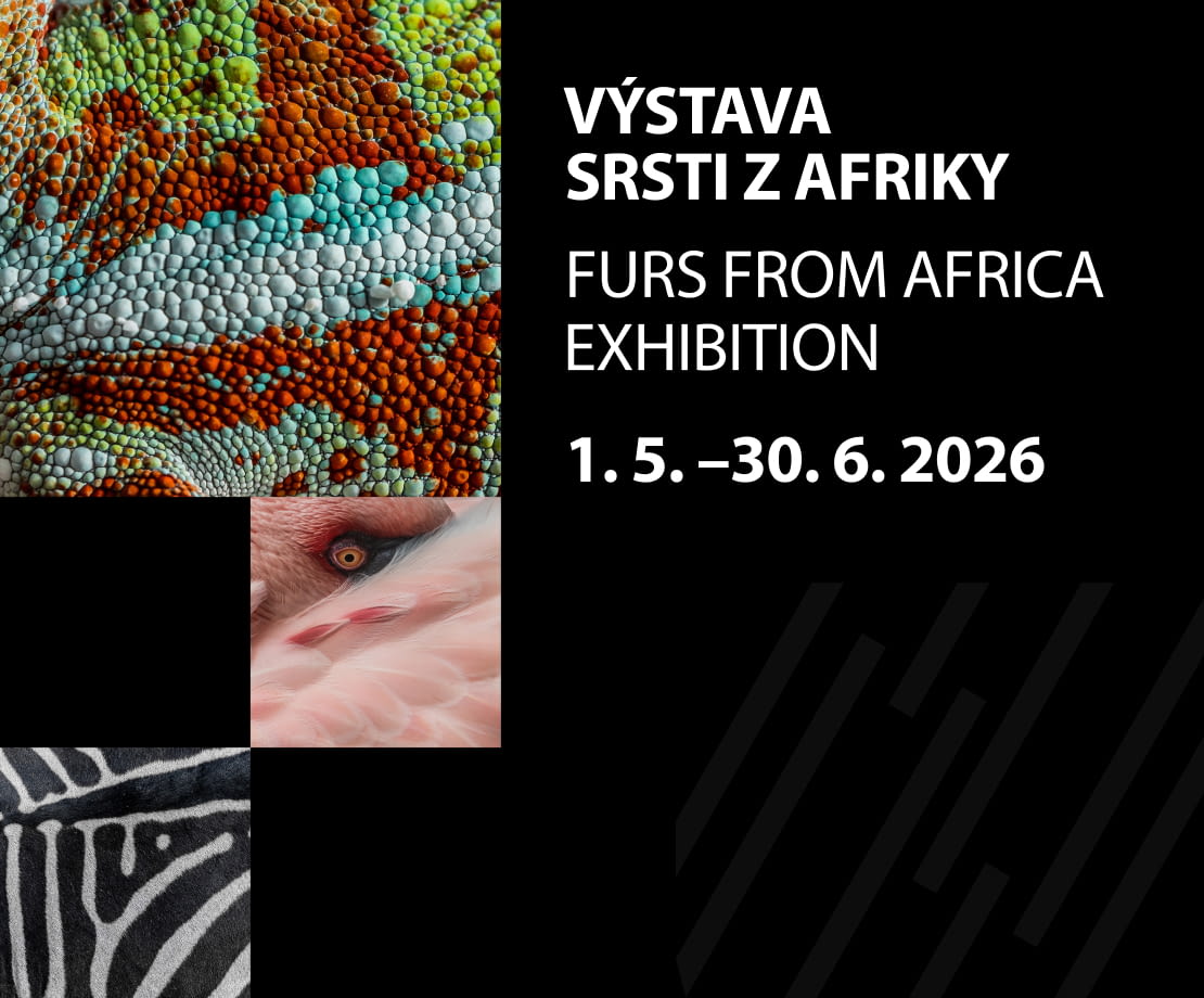 Srsti z Afriky